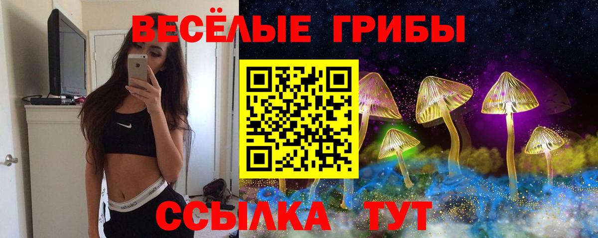 Октябрьский  где найти наркотики  Вход с VPN  Галлюциногенные грибы мухоморы  Галлюциногенные грибы мицелий 