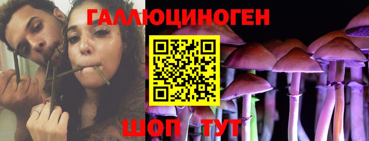 Галлюциногенные грибы прущие грибы Октябрьский